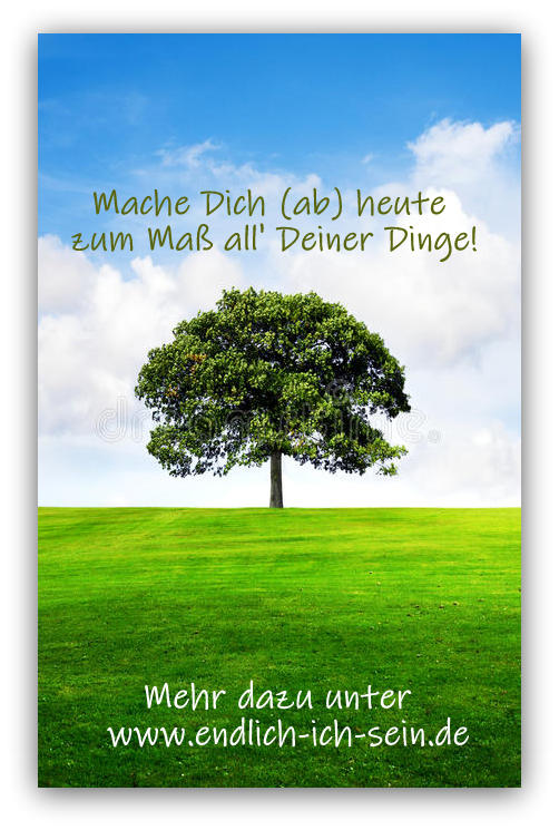Baum3_2.jpg